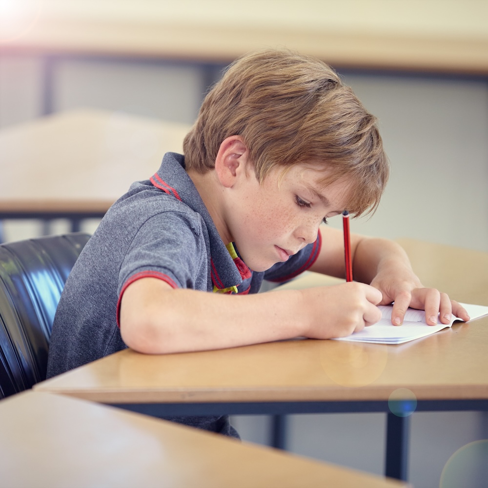 Young male student concentrating on classwork.