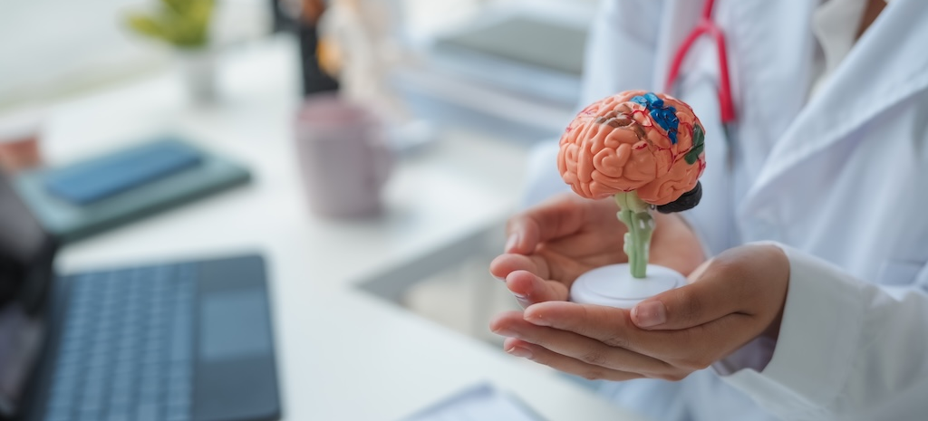 Doctor holding brain model for neuropsych assessment